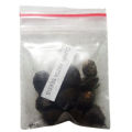 Curry Leaves Plant Seeds (10 Seeds). 