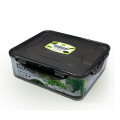 Appollo Eco Lock Food Keeper (S). 