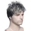 Men Short Straight Wig Ombre Grey Black Synthetic Wig for Male Hair Fleeciness Realistic Natural Toupee Wigs. 