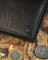 Laguna Wallet. 