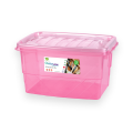 Appollo Clear Lock Storage Box (M). 