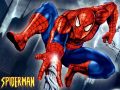 The Amazing Spider Man 2 PC game. 