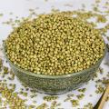 Dried Coriander Whole / Khushk Dhanya Sabut- 1 Kg. 