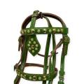 Neza Bazi Horse Riding Leather Special Bridle + Reins ( Adjustable ). 