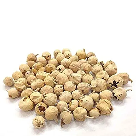 Paneer%20Booti%20-%20Paneer%20Dodi%20-%20250%20Grams%20-%20Image%204