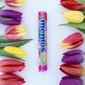 Mentos Roll Fruit Candy (14 Pcs Box), 29gmx14. 