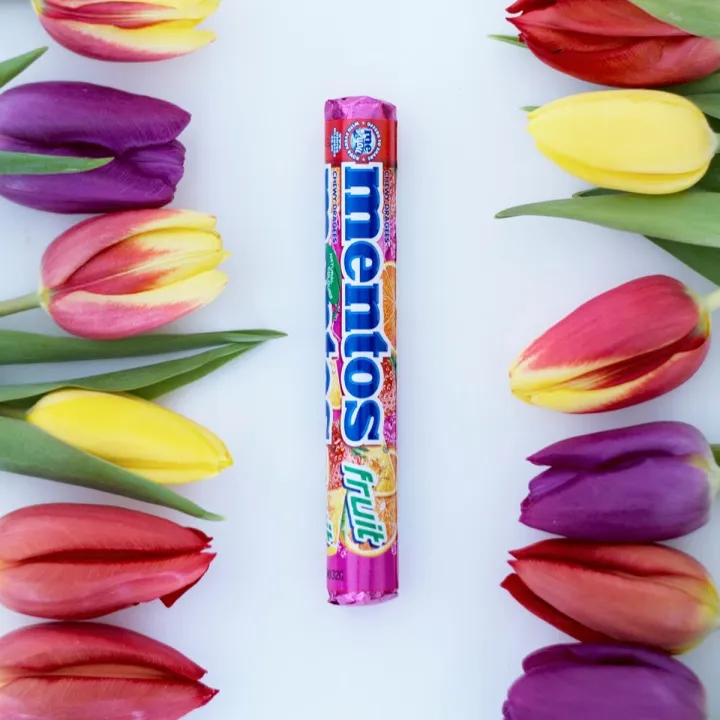 Mentos%20Roll%20Fruit%20Candy%20(14%20Pcs%20Box),%2029gmx14%20-%20Image%203