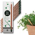 Eco-Friendly Plantable Seed Pencil - Write and Grow Your Own Plants. 