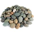 Sea/Beach Pebbles | 5 kg of Smooth Polished Stones | Hand-Picked, Premium Pebbles for Garden and Landscape Design | Mixed, 3 Inch - 5 Inch I 5kg - bulk bag. 