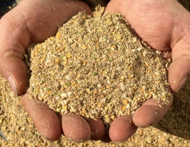 Poultry%20feed%20Sindh%20%20feed%20for%20chicks%20zero%20size%20500%20grams%20(0%20number)%20for%20chicks%20quails%20and%20ducklings%20chuzzon%20ki%20feed%20-%20Image%202