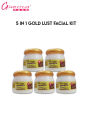 Glamorous Face Gold Lust Facial Kit 5 In 1 Glowing Repair Kit Polish The Skin , Removing Dead Cells , All Types Of Skin Cleanser , Massage , Scrub , Polish , Mask. 