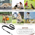 Adjustable Ultrasonic Dog Whistle to Stop Barking for , Recall Training, Dog Whistle， with Black Lanyard. 