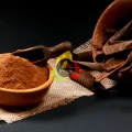 Premium Organic Cinnamon Powder (Dar Chini Powder) - 100% Pure Fine Ground Dalchini Spice - 60g Export Quality. 