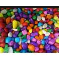 Decorative Mix Colour Small Pebbles. 