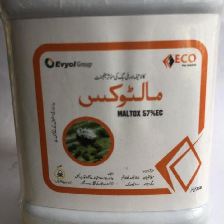 Maltox 57% for Mealybug Killer to save plants from mango bugs 250ML