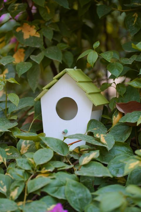 Bird%20House%20Set%20%E2%80%93%204%20Pcs%20PVC%20Waterproof%20Outdoor%20Bird%20Nesting%20Boxes%20for%20Garden%20&%20Balcony%20-%20Image%208