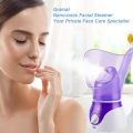 NTFS Beauty Facial Steamer Home Spa Facial Steamer Sauna Pore Cleanser Moisture Humidifier Fast Steam Sprayer. 