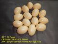 (8 Piece) Artificial Plastic Eggs for Broody Hen - Brown Egg (Light Weight Hollow Egg Shell). 