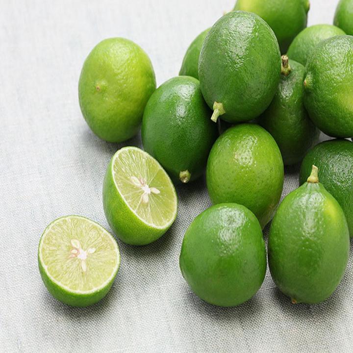 Citrus Key Lime Fruit Tree Seeds