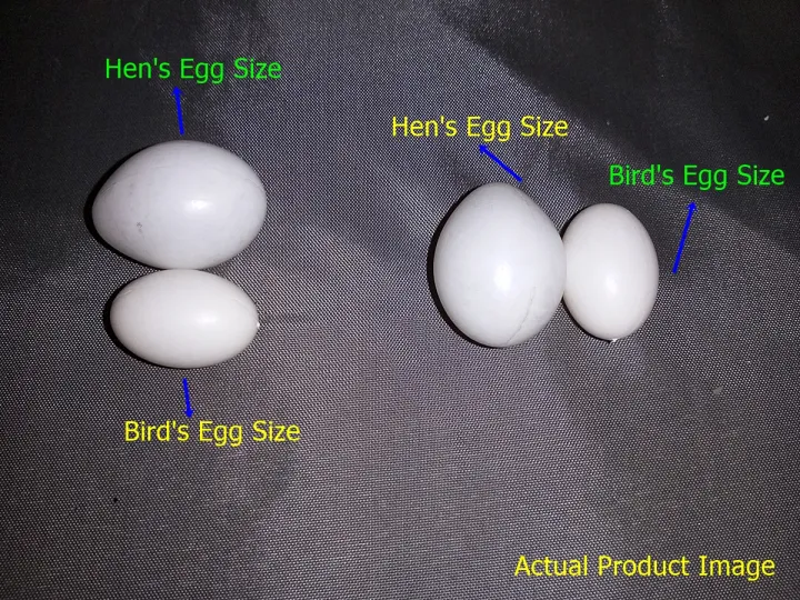 (9%20or%2018%20Pcs)%20Artificial%20Plastic%20Eggs%20-%20Dummy%20eggs%20of%20Bird%20-%20Bird's%20Egg%20Size%20Plastic%20Hollow%20Shell%20-%20Image%203