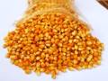 Pop Cons premium quality product 250g. 