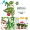Green Home Flower Sticks No Peculiar Smell Bamboo Stick Support Piles. 