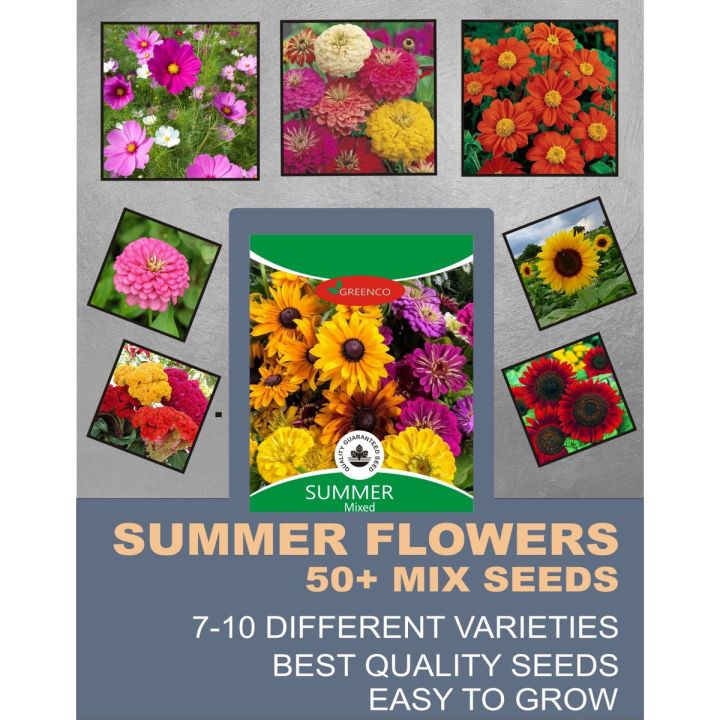 50+ Summer Season Mix Varieties Spring Flower Seeds