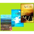 Jannat Kay Pattay / Peer e kamil & Aab e Hayat Novel by Umera Ahmed ( set of 3 books). 