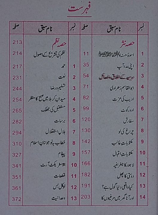Pilot%20Super%20One%20Aina%20Urdu%20Lazmi%20Class%2011%20-%20Image%202