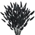100pcs Natural Black Bunny Tails Dried Flowers Farmhouse Flower Arrangements,Lagurus Ovatus,Pampas Grass Decor for Wedding Craft. 
