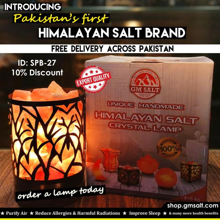 Pink Himalayan Rock Salt Lamp SPB-27 │ GM SALT │ Home Décor │Bedside Lamp │ Decoration for Side Table │Himalayan Pink Salt Lamp Basket │ Natural Salt Lamp │ Metal Basket │ 15 Watt Bulb │ Laser Cut Basket │ Cord Wire │ SPB-27