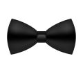 Imported Silk Bow Tie for Kids (Black Blue Brown Blue Grey White Red Maroon). 