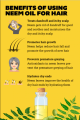 Neem Oil, Roghaan E Neem , Cold Pressed, Organic And Natural. 