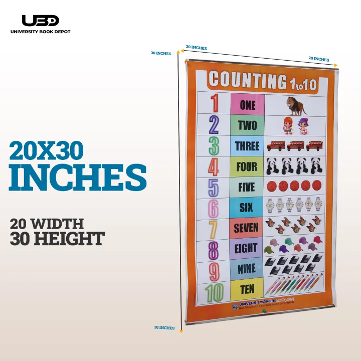 Counting%201-10%20%20Wall%20Chart%20%7C%201-10%20Counting%20with%20Pictures%20wall%20Poster%20for%20Classrooms%20%20%7C%20HD%20Pictures%20Presentation%20on%20200%20grams%20Laminated%20Card%2020*30%20inches%20-%20Image%202