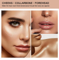 FORT Liquid Highlighter for Face Makeup - Shimmer & Glitter Highlighter | Illuminator Makeup, Illuminating Highlighter, Glitter & Shimmer Highlighters Pink Silver Gold Color. 