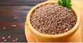 "Premium Whole Masar Brown Lentils – Nutritious and Versatile" | DESI MASAR SABAT | KALY MASAR | WHOLE MASAR | BROWN LENTIL | NON GMO | EXPORT QUALITY | 100% PURE  & CLEAN 500GM. 