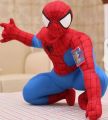 Spiderman stuff toy. 