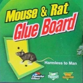 Pack%20of%205%20Mouse%20&%20Rat%20Bond%20Traps%20for%20efficient%20rodent%20control%20%7C%20Powerful%20glue%20ensures%20strong%20hold%20for%20trapping%20mice%20and%20rats%20%7C%20Disposable%20and%20mess-free%20solution%20for%20rodent%20problems%20-%20Image%203