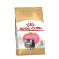 Persian Kitten- 400G. 