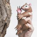 B Squirrel Finger Puppet Set, Animals Puppet Show Theater Props, Weird Stuff Gifts Easy Install Easy to Use. 
