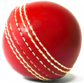 Sports Soft Rubber Cricket Practicing Training Hard Ball Practice PVC indoor Cricket ball  for Coaching, Training, Practice & Excellent Bounce Skills Soft Foam Rubber Cricket Ball. 