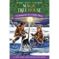 Narwhal On a Sunny Night: Magic Tree House (Book 33) By mary pope osborne. 
