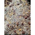 Mixed Feed Kabooter Dana (Pigeons, Hens, Peacock ) (1 Kg). 