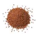 Garden Cress Seeds ( Halim Seeds) 100 GM. 