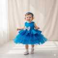 Fancy Frock For Girls Beautiful Dress for toddler 2025. 