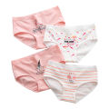 Tingweiya New Product Internet Celebrity Flamingo Underwear Women Cotton Mid Waist Ladies Cotton Underwear Crotch Girl Underwear. 