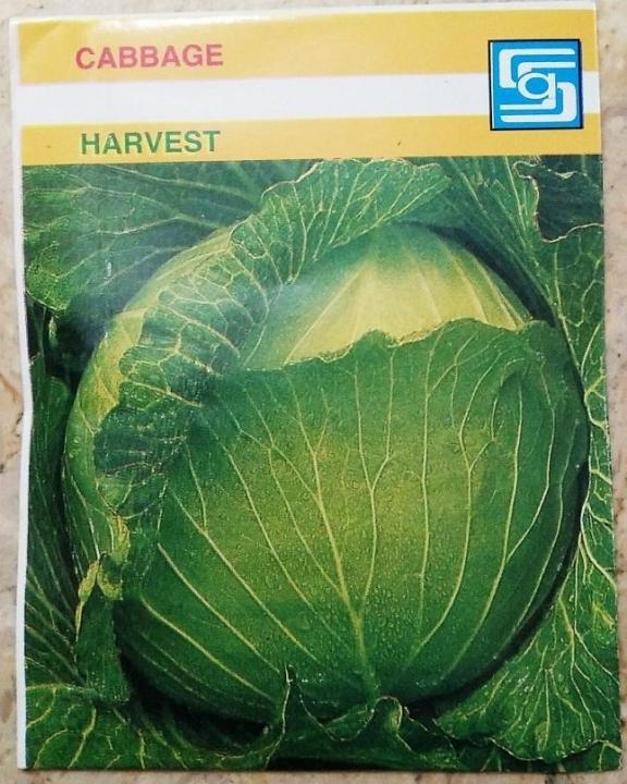 Cabbage (Variety: Harvest)