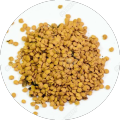 Tomato Seeds (Tmater Ke Beej)(ٹماٹر کے بیج)Hybrid/Germinated/Best Quality/Fast growing/Excellent Germination/High Quality/Healthy Vegetable Seeds/Vegetable/Home/Kitchen/Gardening seeds/beej/Vegetables Seeds Packet. 