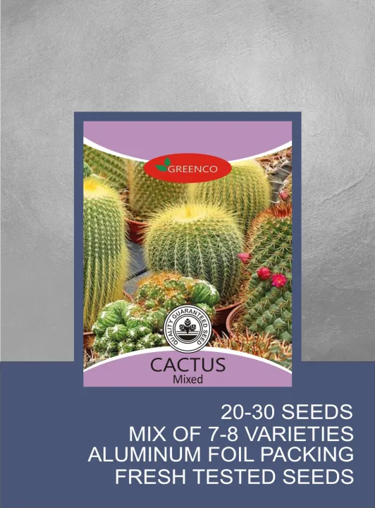 Qty%2020+%20Fresh%20Cactus%20Seeds%20Different%20Species%20Mix%20Star%20Cactus%20Succulent%20Plant%20-%20Image%202