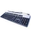 hp Branded Keyboard (Lot without Box). 